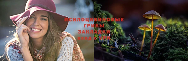 эйфоретик Арсеньев