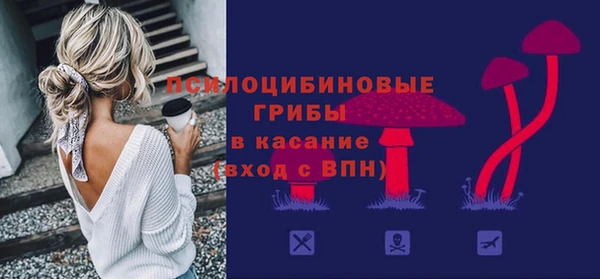 эйфоретик Арсеньев