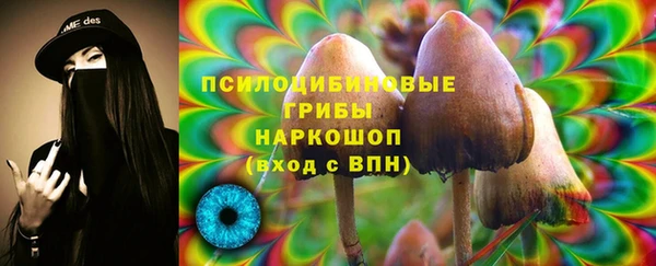 эйфоретик Арсеньев