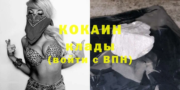 эйфоретик Арсеньев