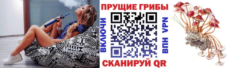 как найти закладки  кракен ONION  Псилоцибиновые грибы MAGIC MUSHROOMS  Унеча 